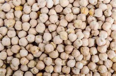 Indian Chickpeas & Seeds Origin India Moisture Content Max 10% Defective Content Max 2% Nutritional Profile High Protein Content - Image 1